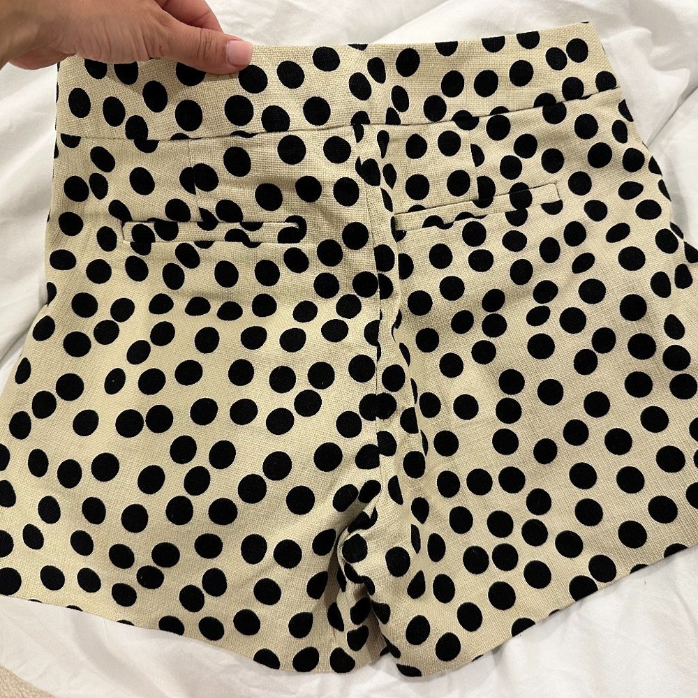 JCrew High waisted polka dot shorts - Picture 2 of 4